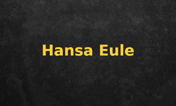 Hansa Eule Insurance System